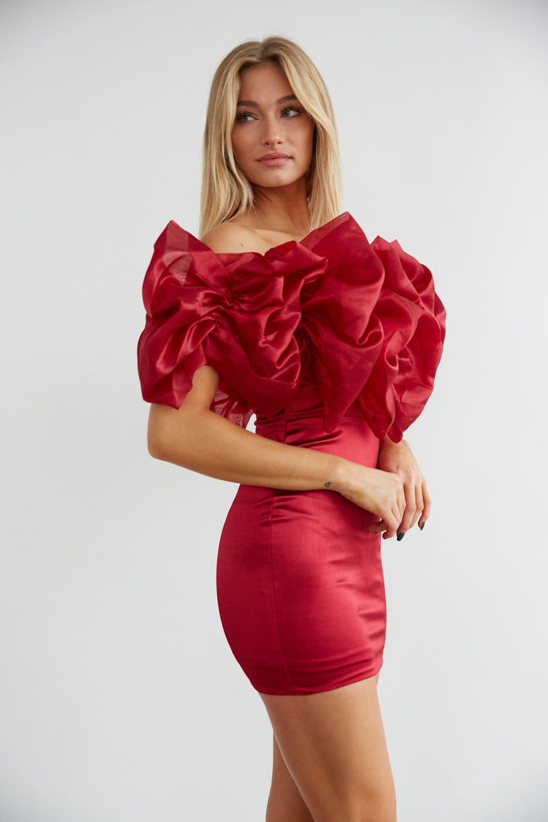 Emilia Organza Ruffle Dress