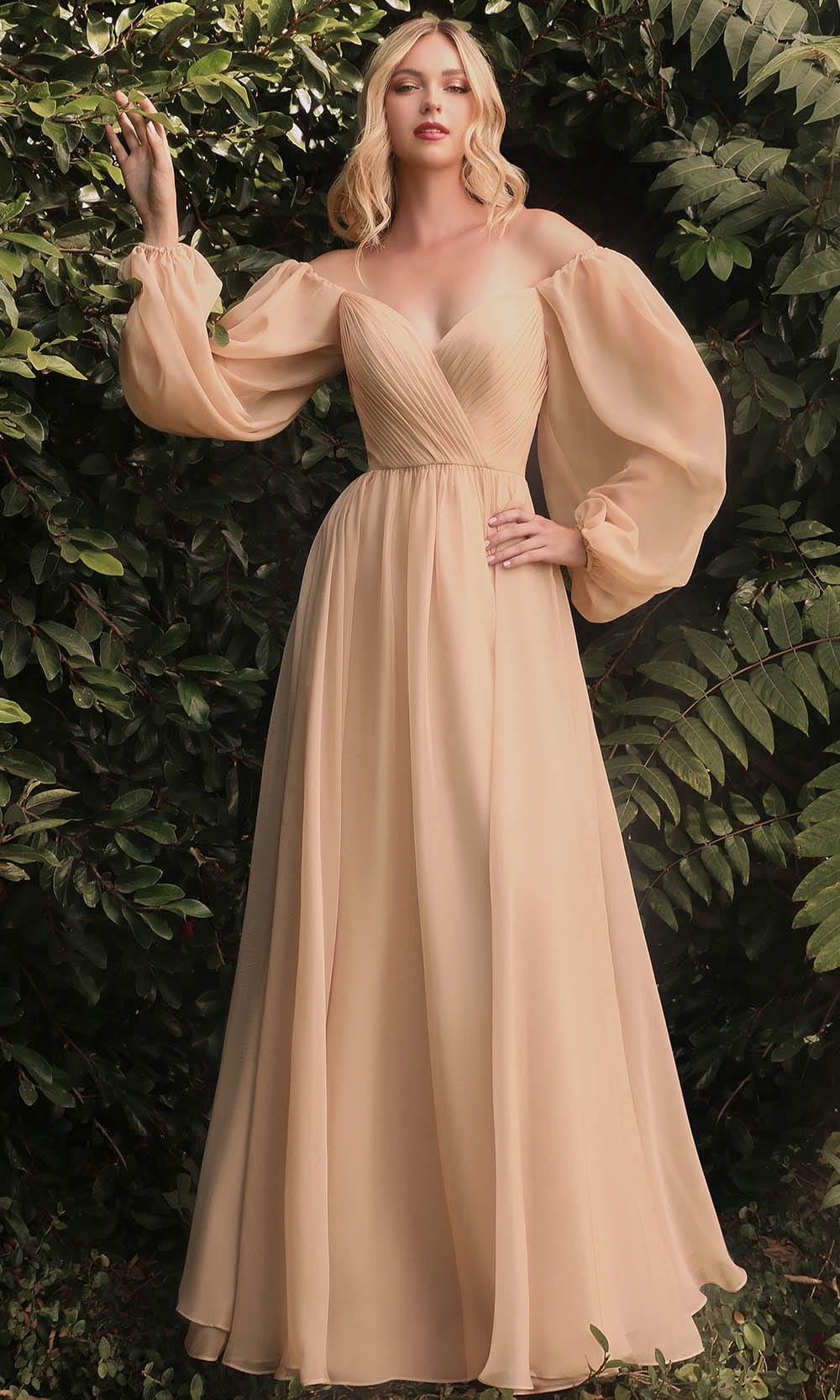 Cinderella Divine CD243 - A-Line Evening Dress