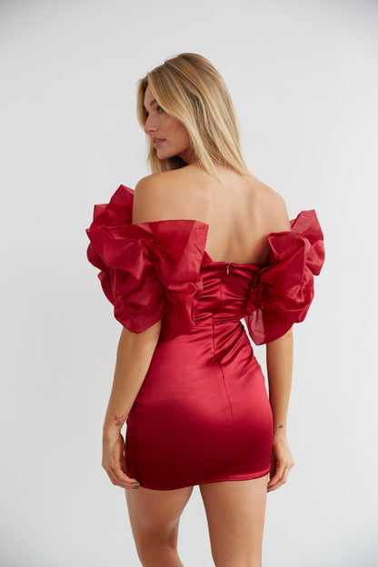 Emilia Organza Ruffle Dress